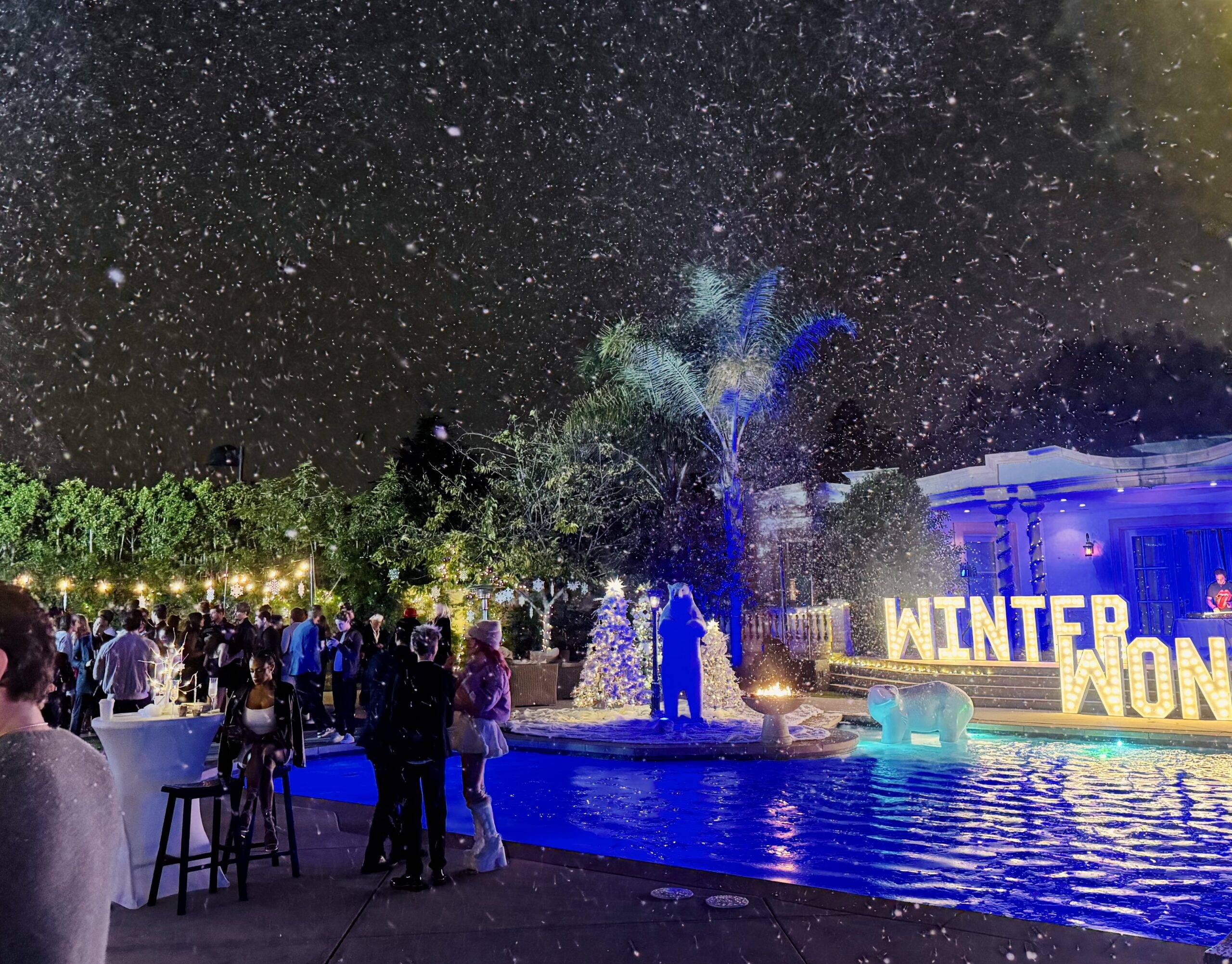 Winter Wonderland Snow Effects